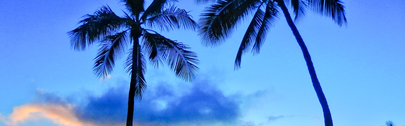 プライバシーポリシー